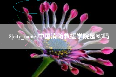兴安盟中国消防救援学院是985吗