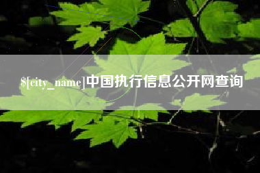 兴安盟中国执行信息公开网查询