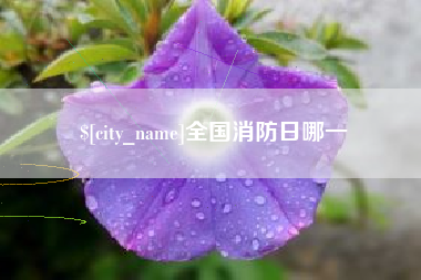兴安盟全国消防日哪一