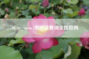 兴安盟消防证查询全国联网