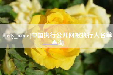 兴安盟中国执行公开网被执行人名单查询