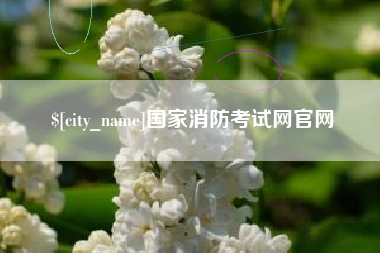 兴安盟国家消防考试网官网