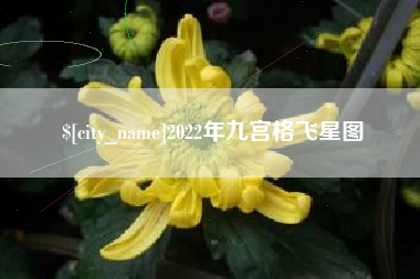 兴安盟2022年九宫格飞星图