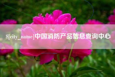 兴安盟中国消防产品信息查询中心