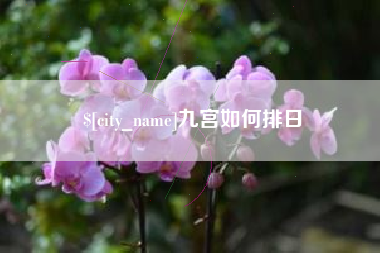 兴安盟九宫如何排日