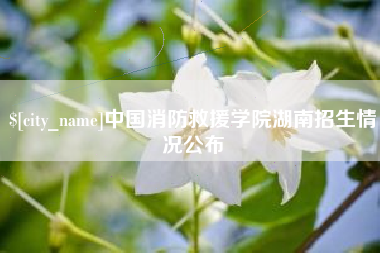 兴安盟中国消防救援学院湖南招生情况公布