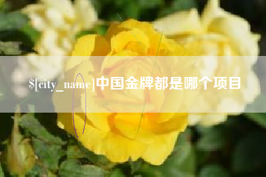 兴安盟中国金牌都是哪个项目