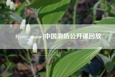 兴安盟中国消防公开课回放