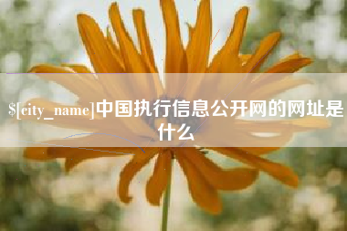 兴安盟中国执行信息公开网的网址是什么