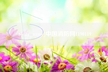 兴安盟中国消防网1190119
