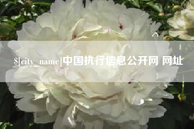 兴安盟中国执行信息公开网 网址