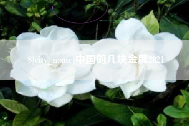兴安盟中国的几块金牌2021