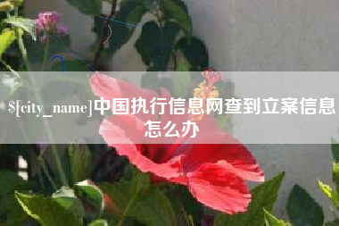 兴安盟中国执行信息网查到立案信息怎么办
