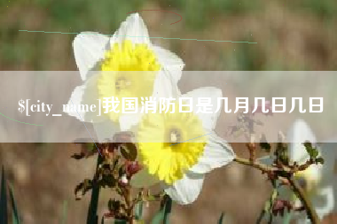 兴安盟我国消防日是几月几日几日