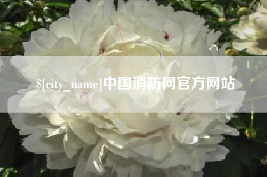 兴安盟中国消防网官方网站