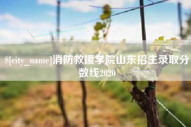 兴安盟消防救援学院山东招生录取分数线2020