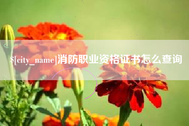 兴安盟消防职业资格证书怎么查询
