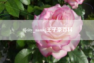 兴安盟王子豪百科
