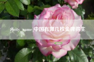 兴安盟中国有哪几枚金牌得主