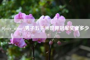兴安盟男子五千米世界冠军奖金多少