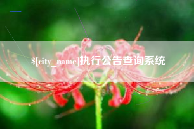兴安盟执行公告查询系统