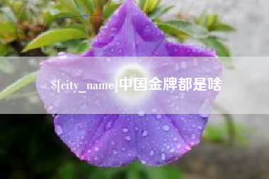 兴安盟中国金牌都是啥