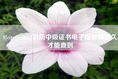 兴安盟消防中级证书电子版查询多久才能查到