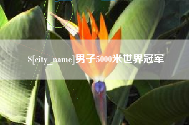 兴安盟男子5000米世界冠军