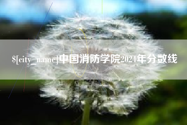 兴安盟中国消防学院2024年分数线