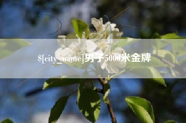 兴安盟男子5000米金牌
