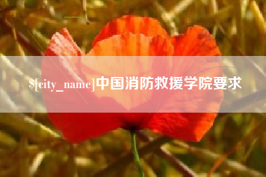 兴安盟中国消防救援学院要求
