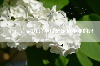 兴安盟九宫星位是定位不变的吗