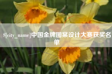 兴安盟中国金牌图案设计大赛获奖名单