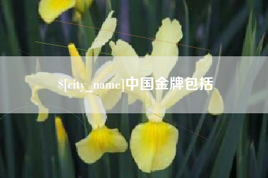兴安盟中国金牌包括