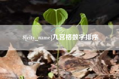 兴安盟九宫格数字排序