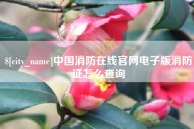 兴安盟中国消防在线官网电子版消防证怎么查询