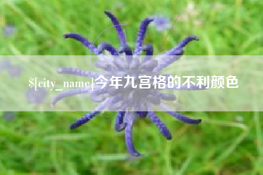 兴安盟今年九宫格的不利颜色