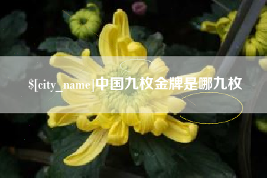 兴安盟中国九枚金牌是哪九枚