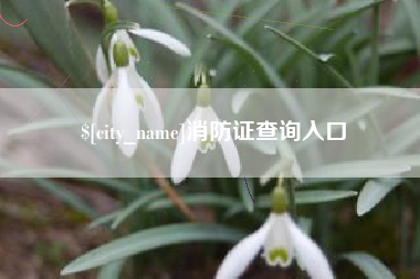兴安盟消防证查询入口
