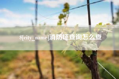 兴安盟消防证查询怎么查