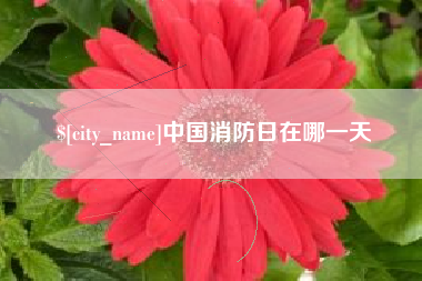 兴安盟中国消防日在哪一天