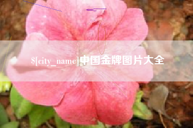 兴安盟中国金牌图片大全