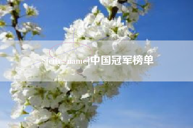 兴安盟中国冠军榜单