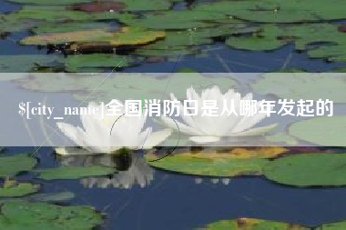 兴安盟全国消防日是从哪年发起的