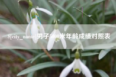 兴安盟男子5000米年龄成绩对照表