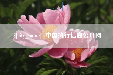 兴安盟1.中国执行信息公开网