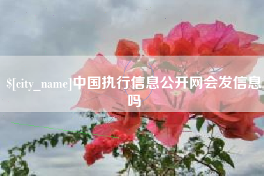 兴安盟中国执行信息公开网会发信息吗