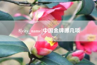 兴安盟中国金牌哪几项