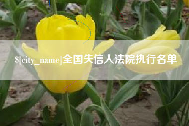 兴安盟全国失信人法院执行名单