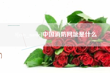 兴安盟中国消防网址是什么